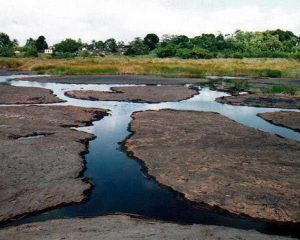 Aprobado Plan de Explotación y Aprovechamiento del Lago de Guanoco