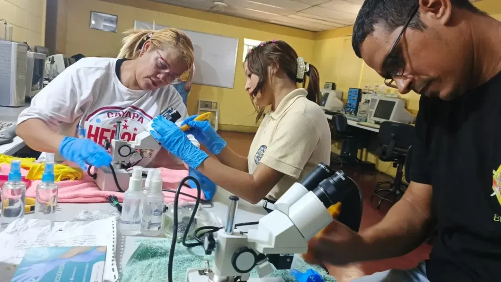 Cayapa Heroica activó más de 80 equipos de laboratorio en Portuguesa