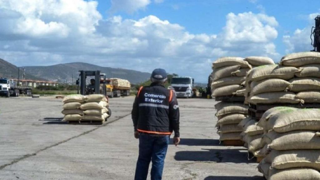 Exportan desde Lara 161 toneladas de café verde a EEUU