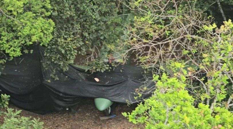 Fanb inutiliza aeronave clandestina en Apure