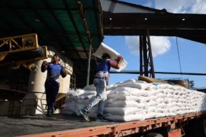 Más de 6.000 toneladas de caña al día muele Las Majaguas en Portuguesa