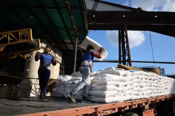 Más de 6.000 toneladas de caña al día muele Las Majaguas en Portuguesa