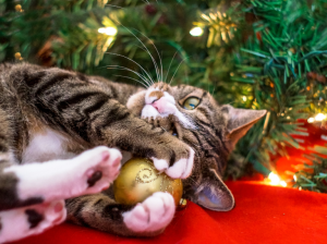 No son el Grinch, pero también quieren "robarse" la Navidad