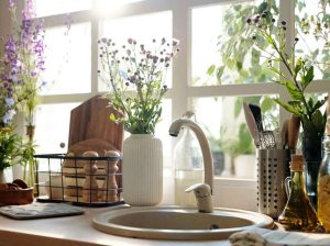 Plantas que inspiran - Últimas Noticias