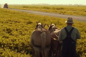 Hace 26 años, los hermanos Coen se adelantaron a Christopher Nolan y adaptaron 'La odisea' (más o menos) en una de sus mejores películas