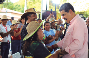 Alta participación en elecciones de voceros del Consejo Campesino