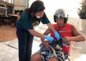 Atienden a perros y gatos en La Guaira tras ataques del 3E