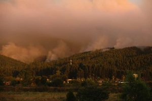 Aumenta a 19 la cifra de muertos por los incendios forestales en Chile