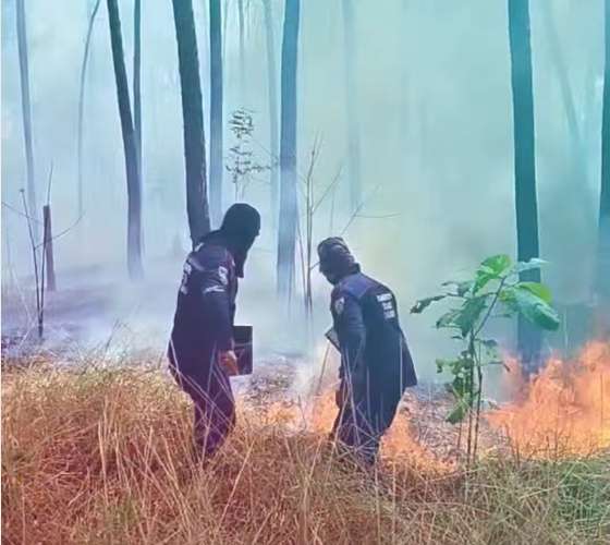 Declaran cierre temporal del Cerro El Café por incendio forestal