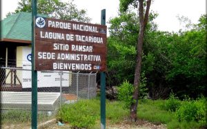 Evalúan planes para conservación del Parque Laguna de Tacarigua