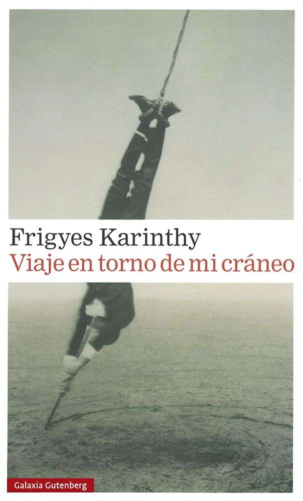 La novela en torno a la vida