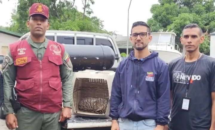 Minec rescató 163 ejemplares silvestres durante 2025