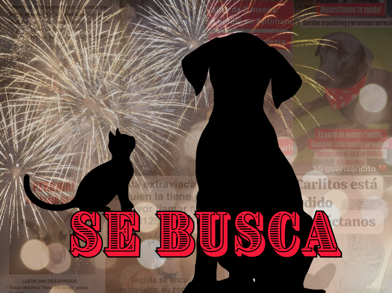 Precauciones ante los fuegos artificiales para proteger a nuestros peludos