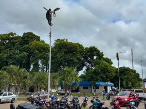 Refuerzan seguridad y mejoran iluminación en el hospital de Tucupita