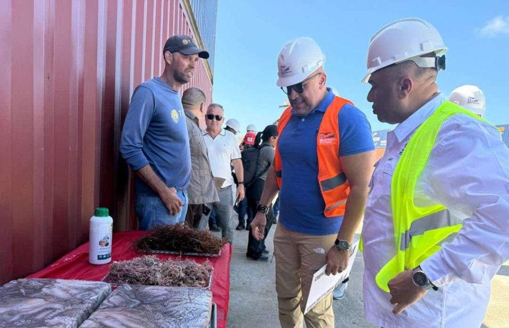 Venezuela exporta 306 toneladas de algas desde el Puerto Internacional El Guamache