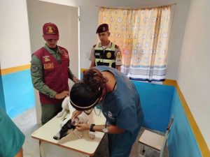 Atienden a 86 mascotas en jornada veterinaria de Charallave