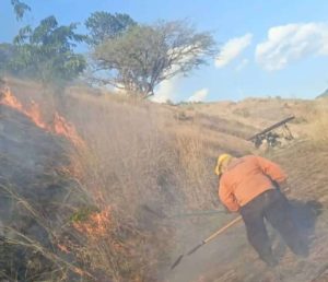 Bomberos enfrentan incendio en la Panamericana