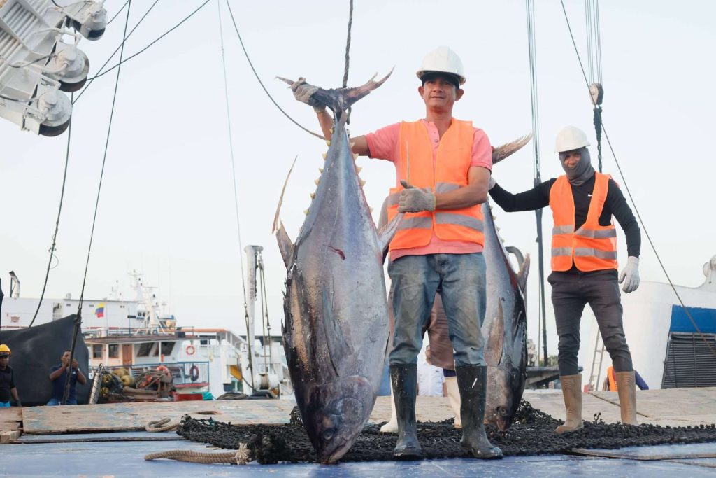 Buque atracó con 1.500 toneladas de atún en el estado Sucre 