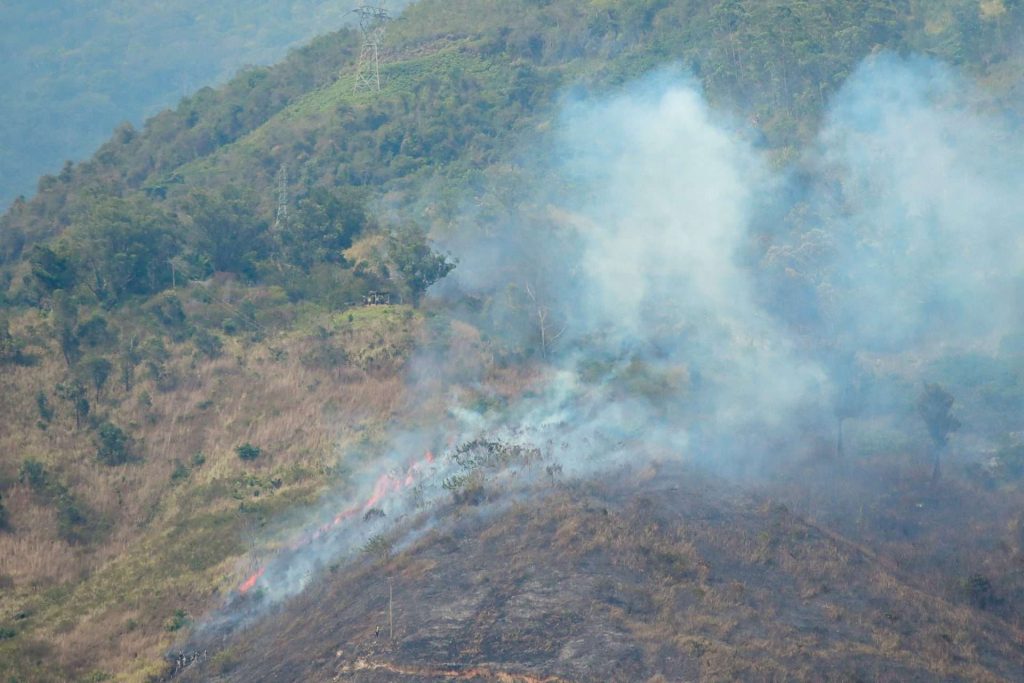 Controlan incendios forestales en Caracas y Carabobo