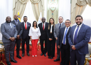 Delcy Rodríguez se reúne con representantes de la Cámara Africana de Energía