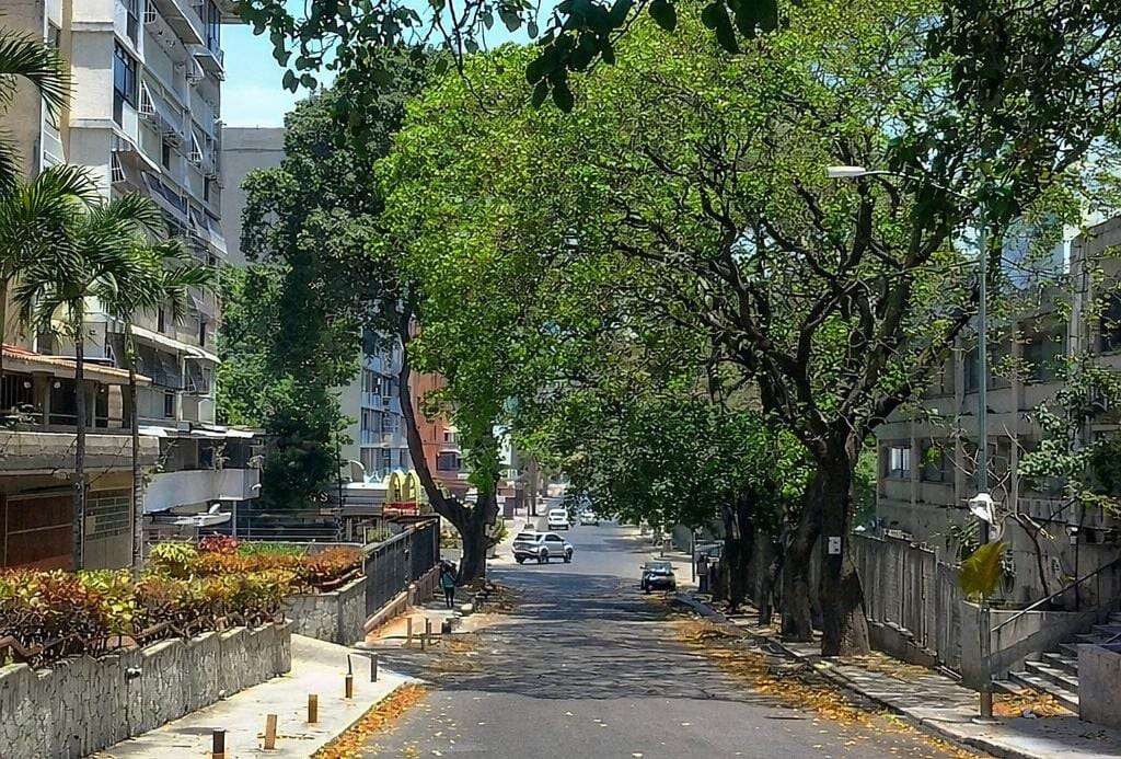 Denunció a su vecino por agresiones verbales