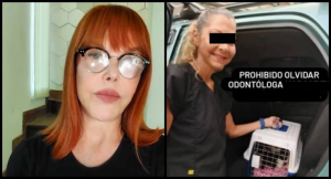 Una odontóloga los habría adoptado gatitos y se desconoce su paradero, esto dijo la actriz Hilda Abrahamz