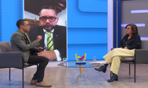 Jacqueline Faría destaca aporte de la Ley de Amnistía a la paz