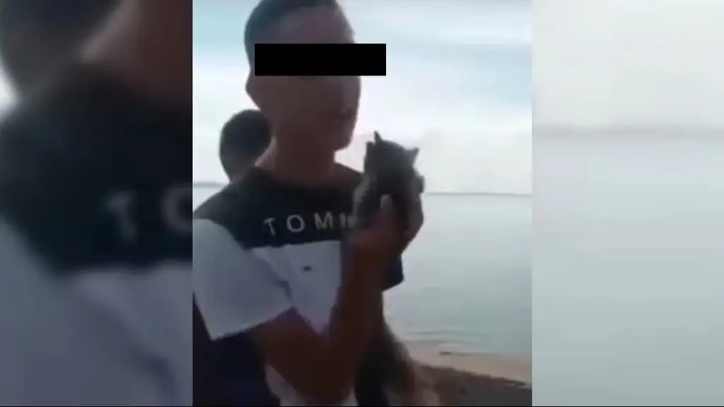 Se entrega el joven que lanzó a un gato al Lago de Maracaibo