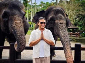 No más explotación de elefantes en Indonesia, tras una medida histórica