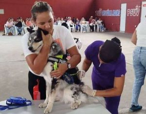 Plan de Vacunación Séxtuple Canina llegó a Charallave