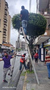 Recaudación tributaria permite consolidar transformación del municipio Guaicaipuro