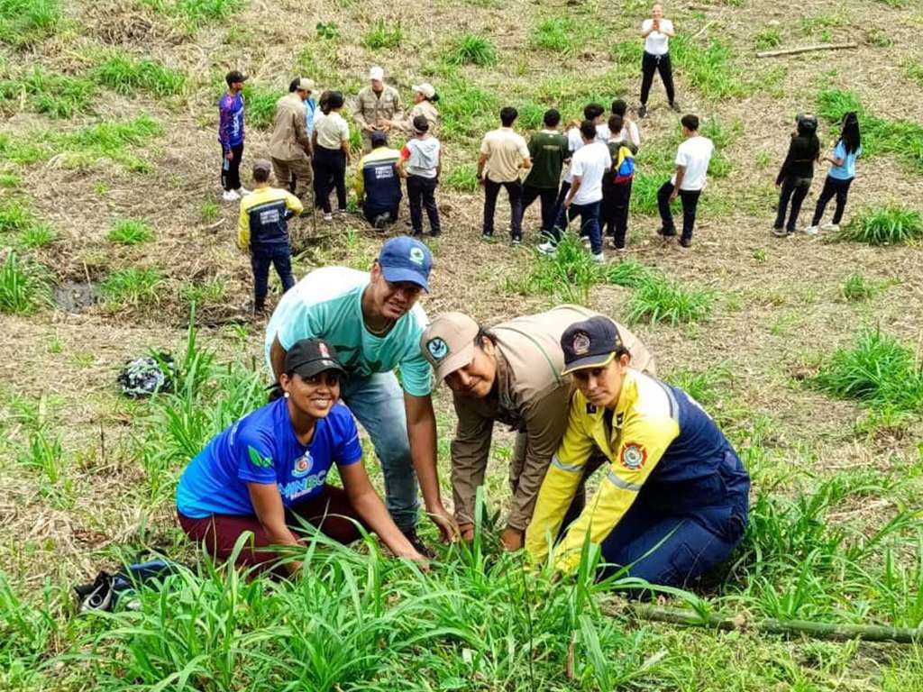 Reforestarán más de 230 hectáreas en Yaracuy con el Plan Chuquisaca