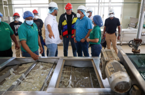 Sabilven comercializa en 18 estados los productos a base de aloe vera