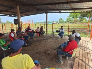 Sector campesino elige nuevos voceros por rubro para impulsar producción