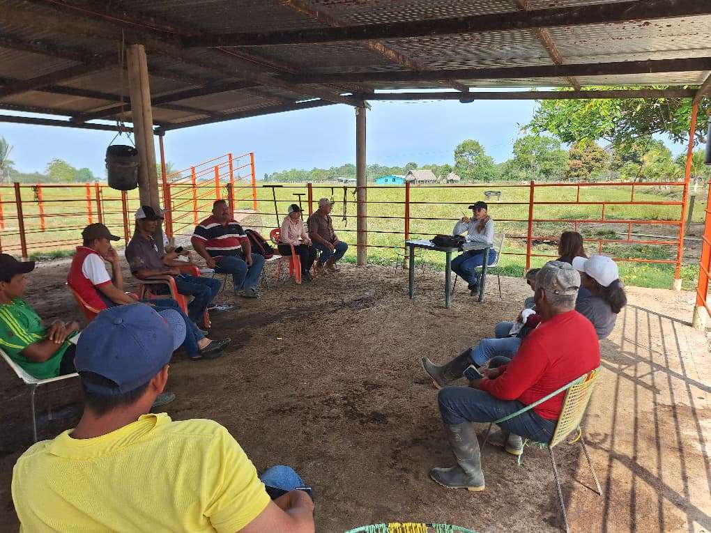 Sector campesino elige nuevos voceros por rubro para impulsar producción