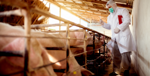 Luis Alejandro Sampayo Cabada