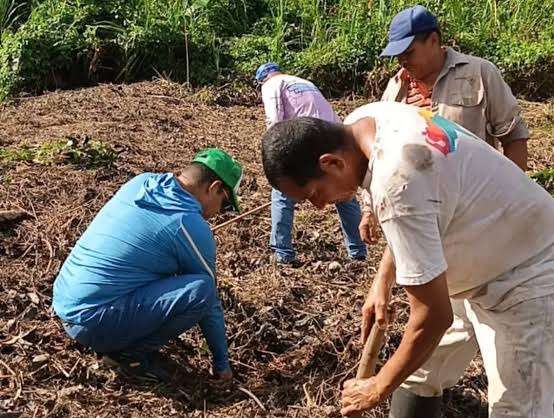 250.000 especies sembrarán en Delta Amacuro con Plan Chuquisaca