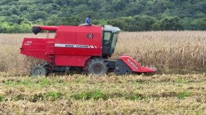 552 consejos campesinos suman a la producción agrícola en Yaracuy