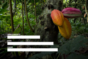 61% afirma tener conocimientos relacionados con la producción agropecuaria