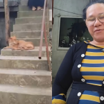 Desalmado entró a la casa de la vecina y lo que hizo dejó consternada a toda la familia