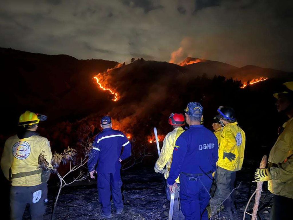 Bomberos controlan incendio de vegetación en Caricuao