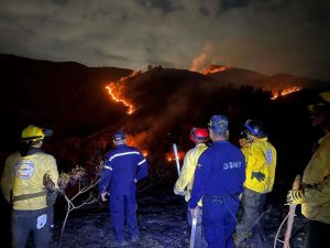 Bomberos controlan incendio de vegetación en Caricuao