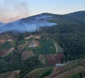 Combatieron incendio en parque nacional Macarao