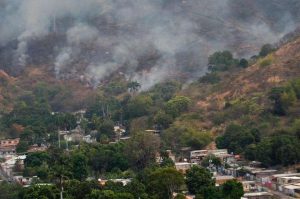 Controlado en un 80% el incendio en el Parque Nacional Henri Pittier