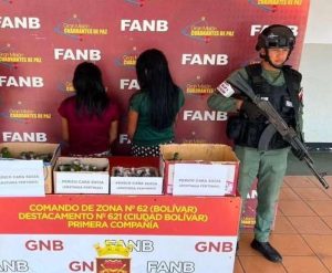 Cortaron las alas a dos traficantes de pericos cara sucia