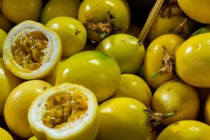 Cultivo de parchita - Últimas Noticias