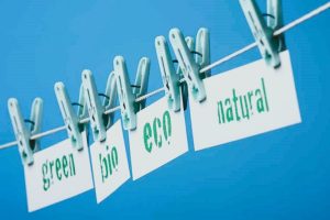 Luis Bautista Garrido Palacios - Responsabilidad Social Empresarial vs. Fachada Comercial - FOTO