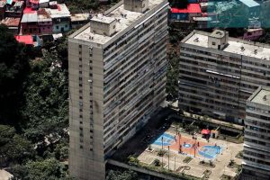 Denunciaron hacinamiento de gatos en edificio de San Agustín