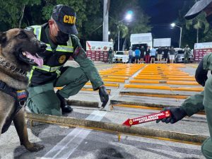 Descubrieron 43 tubos rellenos de marihuana