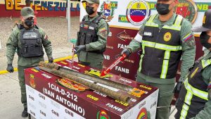 Fanb incauta más de 380 kilos de marihuana en el estado Táchira
